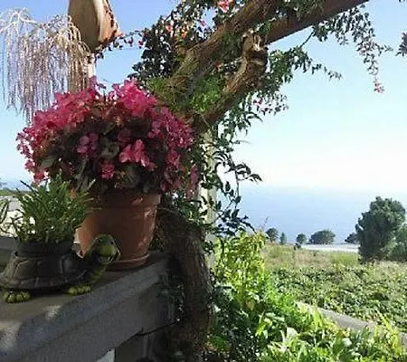 Nettes Ferienhaus In Prazeres Mit Terrasse Holiday home Jardim do Mar
