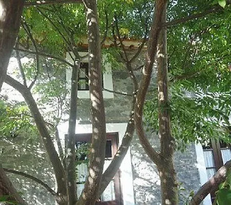 Nettes Ferienhaus In Prazeres Mit Terrasse *